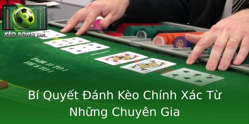 Bí Quyết Đánh Kèo Chính Xác Từ Những Chuyên Gia Bí Quyết Đánh Kèo Chính Xác Từ Những Chuyên Gia
