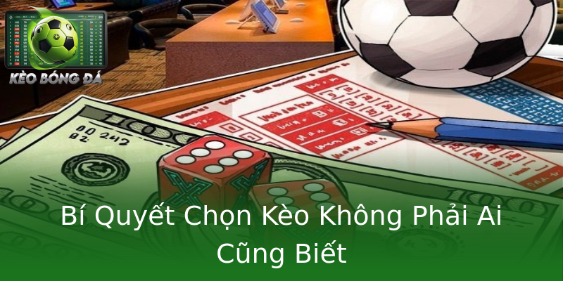 Bí Quyết Chọn Kèo Không Phải Ai Cũng Biết Bí Quyết Chọn Kèo Không Phải Ai Cũng Biết