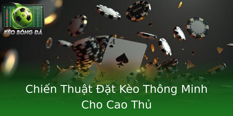Chiến Thuật Đặt Kèo Thông Minh Cho Cao Thủ Chiến Thuật Đặt Kèo Thông Minh Cho Cao Thủ