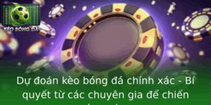 Cách Dự Đoán Kèo Bóng Đá Chuẩn 90% - Bí Quyết Từ Chuyên Gia 2 Du Oan Keo Bong A Chinh Xac Bi Quyet Tu Cac Chuyen Gia E Chien Thang Toi A