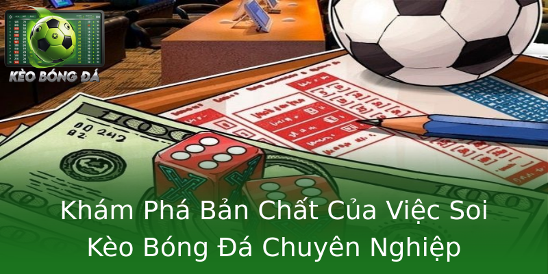 Khám Phá Bản Chất Của Việc Soi Kèo Bóng Đá Chuyên Nghiệp Khám Phá Bản Chất Của Việc Soi Kèo Bóng Đá Chuyên Nghiệp