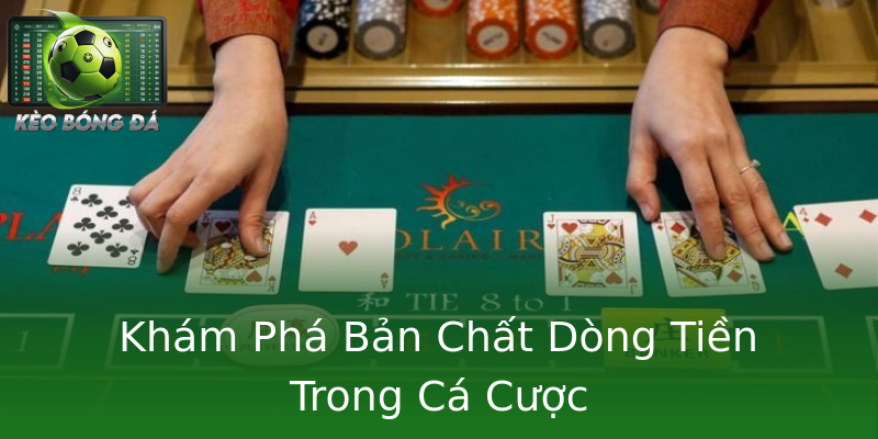 Khám Phá Bản Chất Dòng Tiền Trong Cá Cược Khám Phá Bản Chất Dòng Tiền Trong Cá Cược