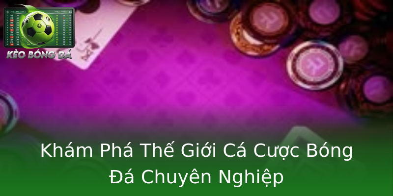 Khám Phá Thế Giới Cá Cược Bóng Đá Chuyên Nghiệp Khám Phá Thế Giới Cá Cược Bóng Đá Chuyên Nghiệp