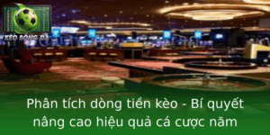 Phân tích dòng tiền kèo - Bí quyết cược hiệu quả 2025 2 Phan Tich Dong Tien Keo Bi Quyet Nang Cao Hieu Qua Ca Cuoc Nam 2025