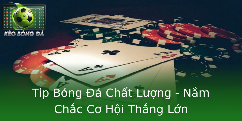 Tip Bóng Đá Chất Lượng - Nắm Chắc Cơ Hội Thắng Lớn Tip Bóng Đá Chất Lượng - Nắm Chắc Cơ Hội Thắng Lớn