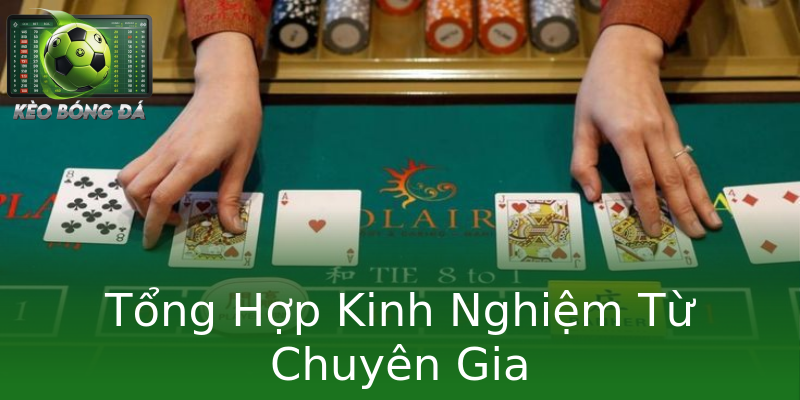 Tổng Hợp Kinh Nghiệm Từ Chuyên Gia Tổng Hợp Kinh Nghiệm Từ Chuyên Gia