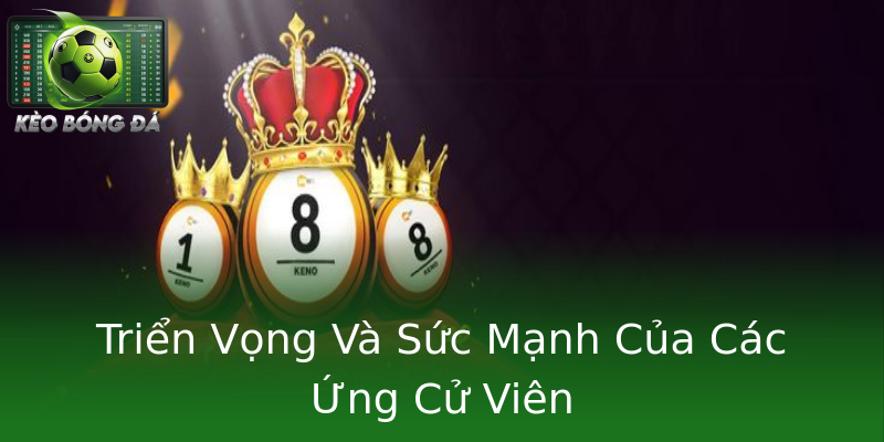 Triển Vọng Và Sức Mạnh Của Các Ứng Cử Viên Triển Vọng Và Sức Mạnh Của Các Ứng Cử Viên