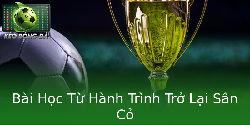 Bài Học Từ Hành Trình Trở Lại Sân Cỏ Bài Học Từ Hành Trình Trở Lại Sân Cỏ