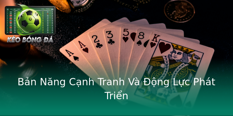 Bản Năng Cạnh Tranh Và Động Lực Phát Triển Bản Năng Cạnh Tranh Và Động Lực Phát Triển