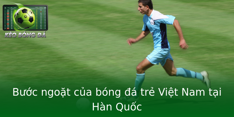 Bước ngoặt của bóng đá trẻ Việt Nam tại Hàn Quốc Bước ngoặt của bóng đá trẻ Việt Nam tại Hàn Quốc