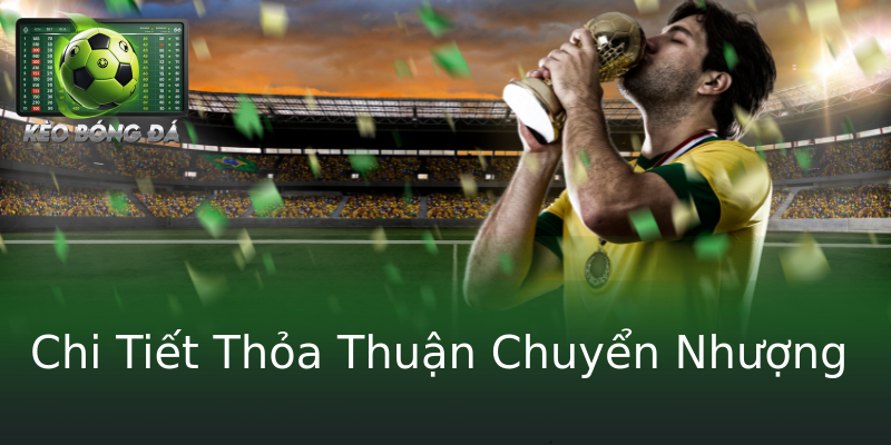 Chi Tiết Thỏa Thuận Chuyển Nhượng Chi Tiết Thỏa Thuận Chuyển Nhượng