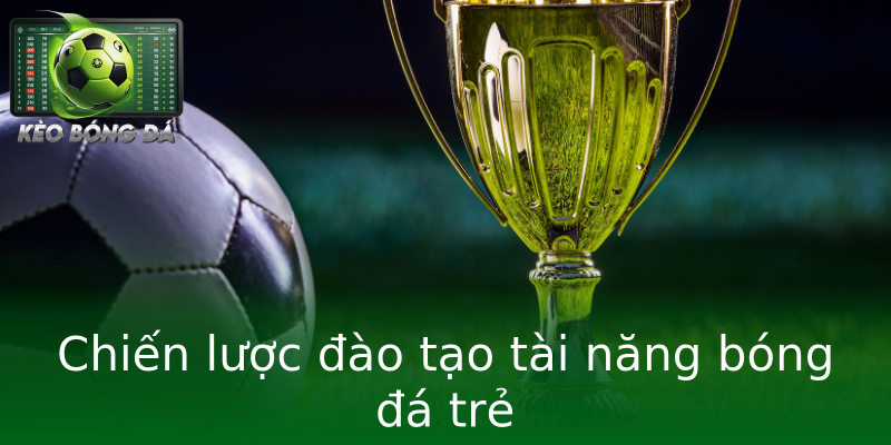 Chiến lược đào tạo tài năng bóng đá trẻ Chiến lược đào tạo tài năng bóng đá trẻ