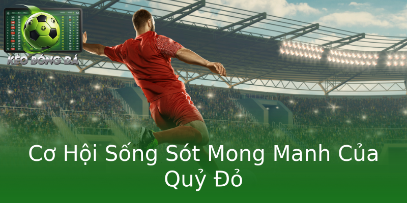 Cơ Hội Sống Sót Mong Manh Của Quỷ Đỏ
