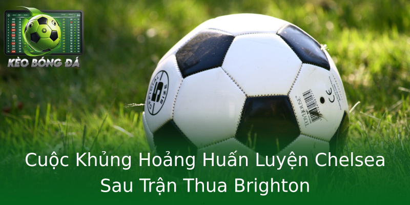 Cuộc Khủng Hoảng Huấn Luyện Chelsea Sau Trận Thua Brighton Cuộc Khủng Hoảng Huấn Luyện Chelsea Sau Trận Thua Brighton