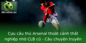 Cựu cầu thủ Arsenal thoát cảnh thất nghiệp nhờ CLB cũ - Câu chuyện truyền cảm hứng về nghị lực và cơ hội thứ hai trong bóng đá 3 Cuu Cau Thu Arsenal Thoat Canh That Nghiep Nho Clb Cu Cau Chuyen Truyen Cam Hung Ve Nghi Luc Va Co H
