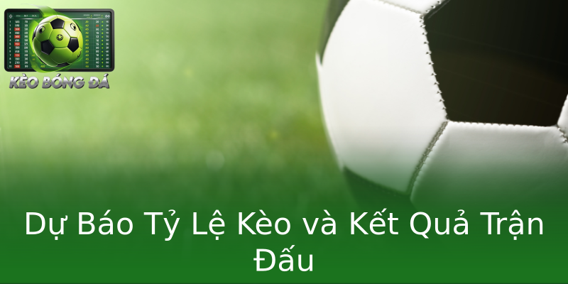 Dự Báo Tỷ Lệ Kèo và Kết Quả Trận Đấu Dự Báo Tỷ Lệ Kèo và Kết Quả Trận Đấu