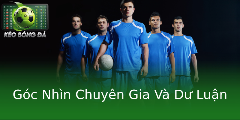 Góc Nhìn Chuyên Gia Và Dư Luận Góc Nhìn Chuyên Gia Và Dư Luận