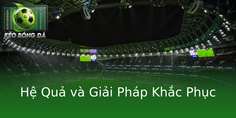 Hệ Quả và Giải Pháp Khắc Phục Hệ Quả và Giải Pháp Khắc Phục