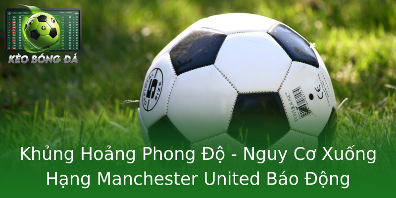 Khủng Hoảng Phong Độ - Nguy Cơ Xuống Hạng Manchester United Báo Động Khủng Hoảng Phong Độ - Nguy Cơ Xuống Hạng Manchester United Báo Động