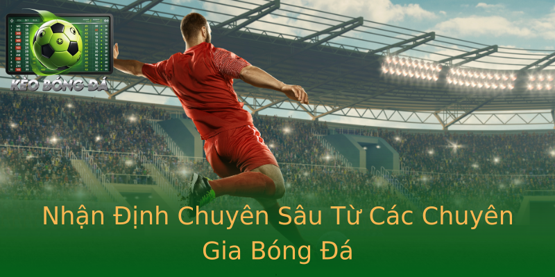Nhận Định Chuyên Sâu Từ Các Chuyên Gia Bóng Đá Nhận Định Chuyên Sâu Từ Các Chuyên Gia Bóng Đá