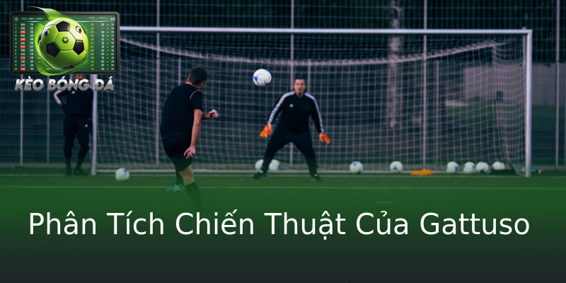 Phân Tích Chiến Thuật Của Gattuso Phân Tích Chiến Thuật Của Gattuso