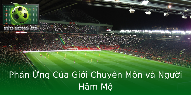 Phản Ứng Của Giới Chuyên Môn và Người Hâm Mộ