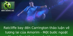 Ratcliffe bay đến Carrington thảo luận về tương lai của Amorim - Một bước ngoặt đậm chất chiến lược của Manchester United 10 Ratcliffe Bay En Carrington Thao Luan Ve Tuong Lai Cua Amorim Mot Buoc Ngoat Am Chat Chien Luoc Cua