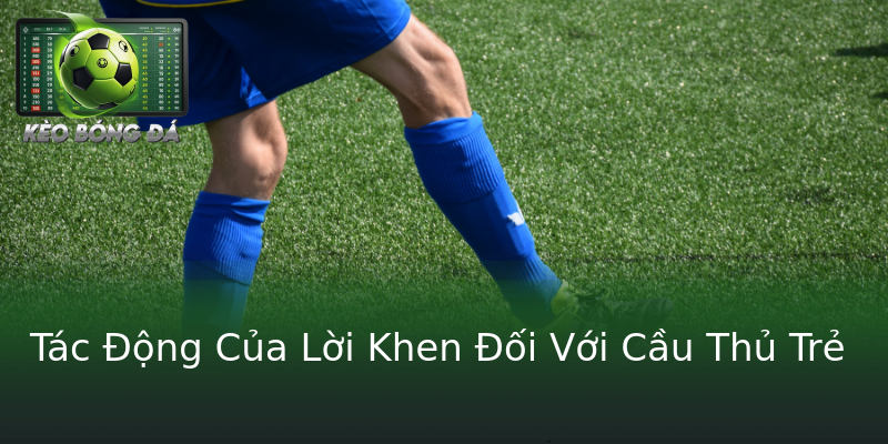 Tác Động Của Lời Khen Đối Với Cầu Thủ Trẻ Tác Động Của Lời Khen Đối Với Cầu Thủ Trẻ