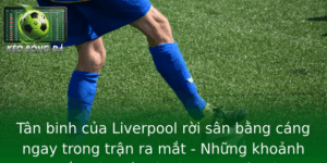 Tân binh của Liverpool rời sân bằng cáng ngay trong trận ra mắt - Những khoảnh khắc gây sốc và bài học quý giá 1 Tan Binh Cua Liverpool Roi San Bang Cang Ngay Trong Tran Ra Mat Nhung Khoanh Khac Gay Soc Va Bai Hoc 1