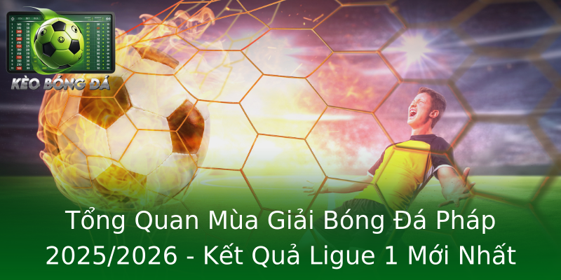 Tổng Quan Mùa Giải Bóng Đá Pháp 2025/2026 - Kết Quả Ligue 1 Mới Nhất Tổng Quan Mùa Giải Bóng Đá Pháp 2025/2026 - Kết Quả Ligue 1 Mới Nhất
