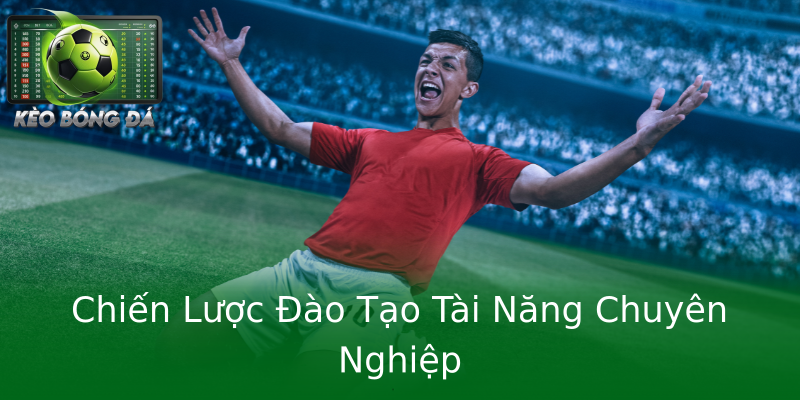 Chiến Lược Đào Tạo Tài Năng Chuyên Nghiệp Chiến Lược Đào Tạo Tài Năng Chuyên Nghiệp