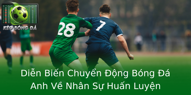 Diễn Biến Chuyển Động Bóng Đá Anh Về Nhân Sự Huấn Luyện Diễn Biến Chuyển Động Bóng Đá Anh Về Nhân Sự Huấn Luyện