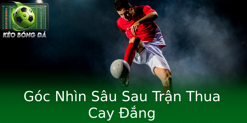 Góc Nhìn Sâu Sau Trận Thua Cay Đắng Góc Nhìn Sâu Sau Trận Thua Cay Đắng