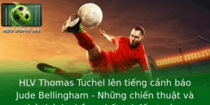 HLV Thomas Tuchel lên tiếng cảnh báo Jude Bellingham - Những chiến thuật và thử thách chồng chất tại đấu trường châu Âu 1 Hlv Thomas Tuchel Len Tieng Canh Bao Jude Bellingham Nhung Chien Thuat Va Thu Thach Chong Chat Tai A 1