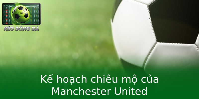 Kế hoạch chiêu mộ của Manchester United Kế hoạch chiêu mộ của Manchester United