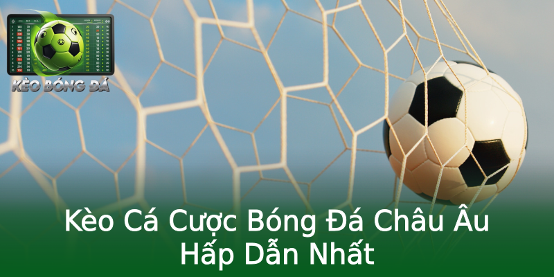 Kèo Cá Cược Bóng Đá Châu Âu Hấp Dẫn Nhất Kèo Cá Cược Bóng Đá Châu Âu Hấp Dẫn Nhất