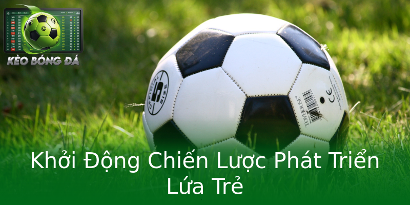 Khởi Động Chiến Lược Phát Triển Lứa Trẻ Khởi Động Chiến Lược Phát Triển Lứa Trẻ