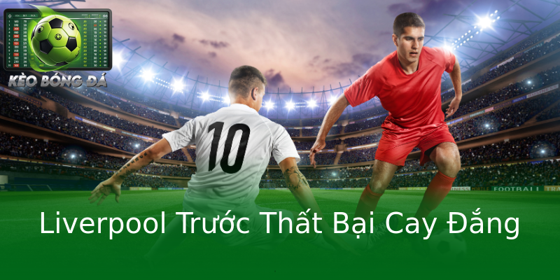 Liverpool Trước Thất Bại Cay Đắng Liverpool Trước Thất Bại Cay Đắng