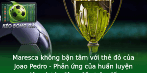Maresca không bận tâm với thẻ đỏ của Joao Pedro - Phản ứng của huấn luyện viên và tác động đến trận đấu 7 Maresca Khong Ban Tam Voi The O Cua Joao Pedro Phan Ung Cua Huan Luyen Vien Va Tac Ong En Tran Au