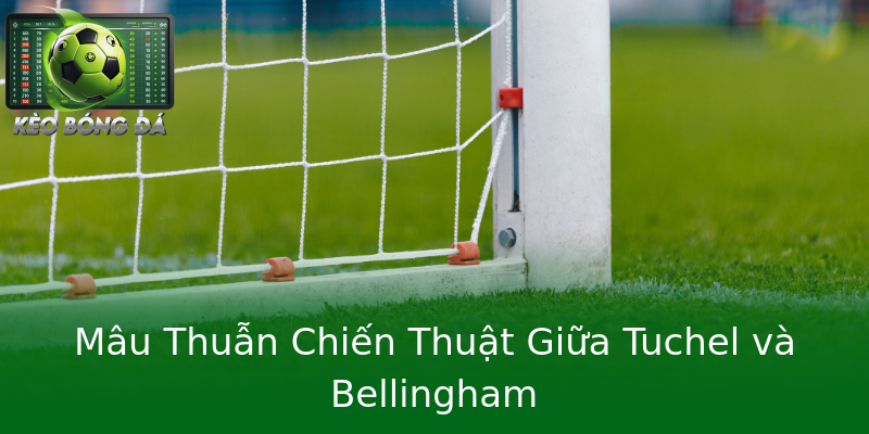 Mâu Thuẫn Chiến Thuật Giữa Tuchel và Bellingham Mâu Thuẫn Chiến Thuật Giữa Tuchel và Bellingham