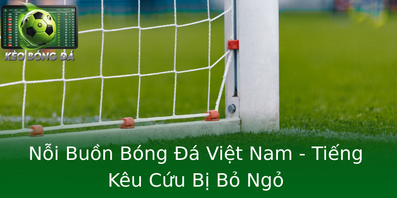 Nỗi Buồn Bóng Đá Việt Nam - Tiếng Kêu Cứu Bị Bỏ Ngỏ Nỗi Buồn Bóng Đá Việt Nam - Tiếng Kêu Cứu Bị Bỏ Ngỏ