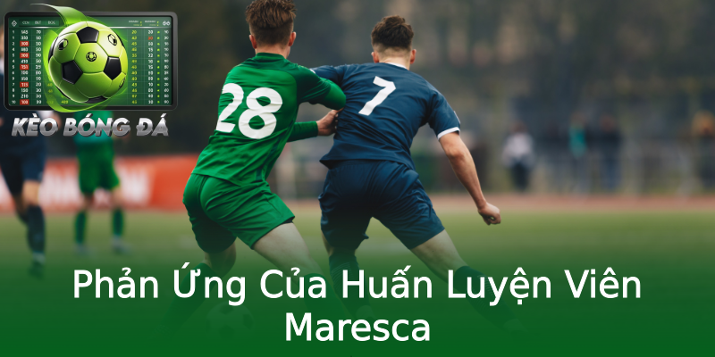 Phản Ứng Của Huấn Luyện Viên Maresca Phản Ứng Của Huấn Luyện Viên Maresca