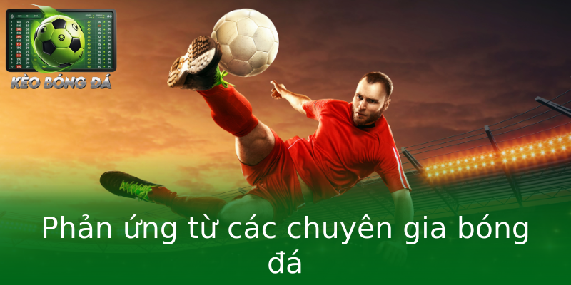 Phản ứng từ các chuyên gia bóng đá Phản ứng từ các chuyên gia bóng đá