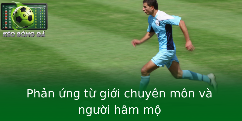 Phản ứng từ giới chuyên môn và người hâm mộ Phản ứng từ giới chuyên môn và người hâm mộ