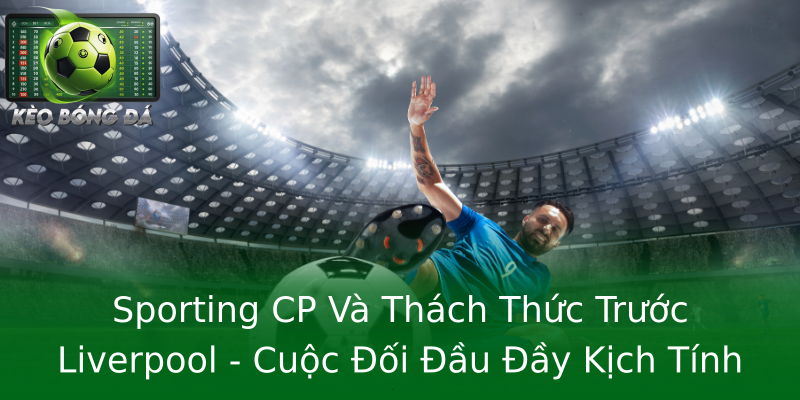 Sporting CP Và Thách Thức Trước Liverpool - Cuộc Đối Đầu Đầy Kịch Tính Sporting CP Và Thách Thức Trước Liverpool - Cuộc Đối Đầu Đầy Kịch Tính