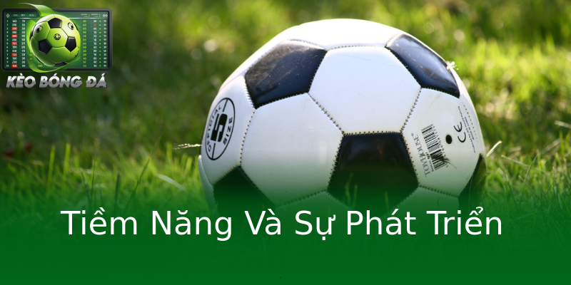 Tiềm Năng Và Sự Phát Triển Tiềm Năng Và Sự Phát Triển