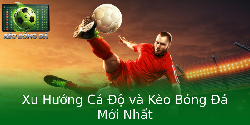 Xu Hướng Cá Độ và Kèo Bóng Đá Mới Nhất Xu Hướng Cá Độ và Kèo Bóng Đá Mới Nhất